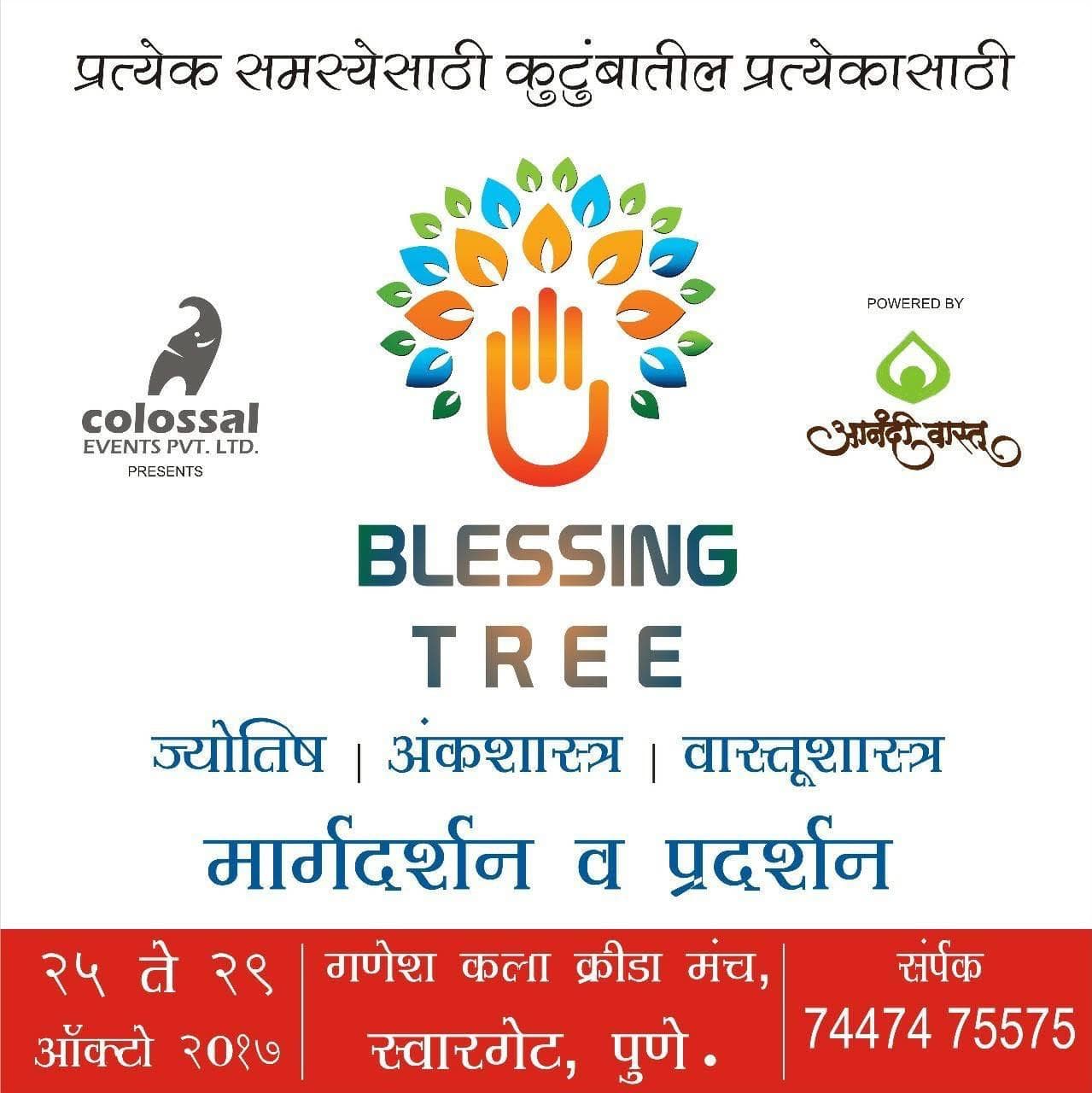 Blessing Tree